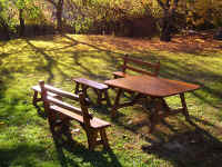 picnic_furn.jpg (473469 bytes)