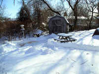 winter04_05.jpg (353951 bytes)
